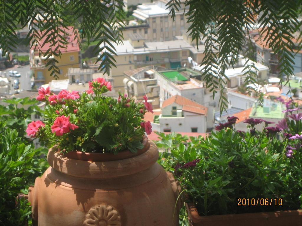 Villa Marietta Minori Exterior foto