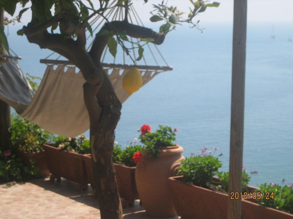 Villa Marietta Minori Exterior foto